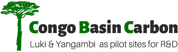 Logo Congo Basin Carbon