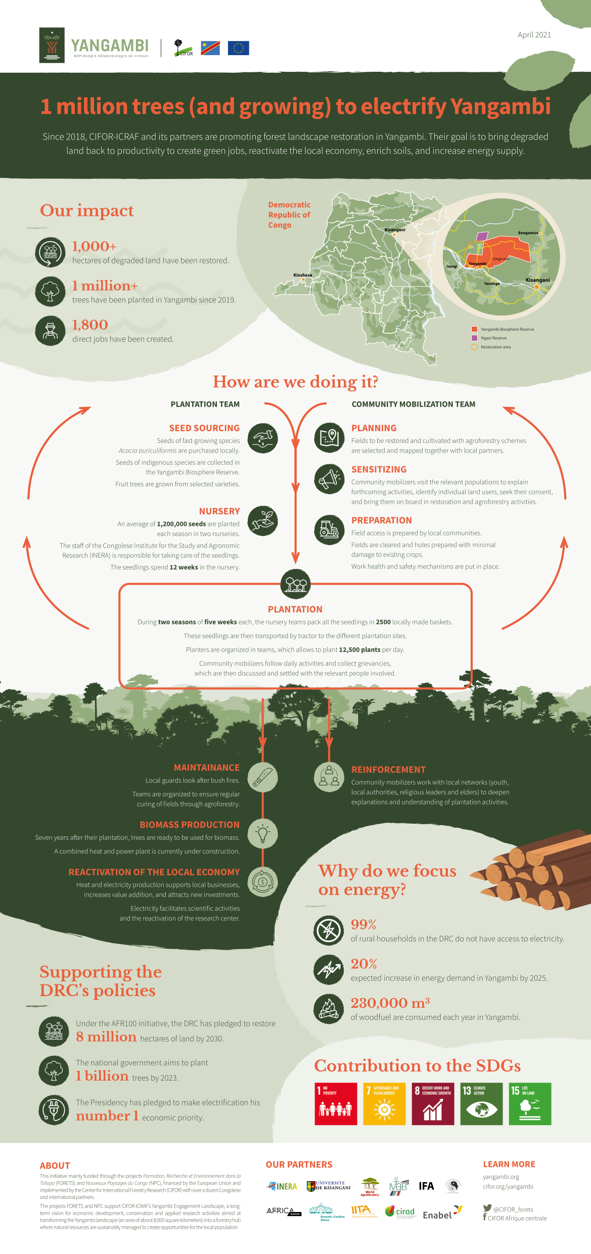 Infographic 1 million trees Yangambi