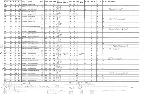 A fieldsheet which was completed in the forest with measurements taken on the trees and other complementary observations.