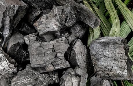 Carbon - ©Axel Fassio/CIFOR