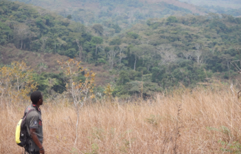 Man observing Forest in the distance and Manzonzi savannah in front of him. Picture by V. Deklerck