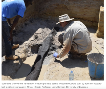 Scientists uncover the remains of what might have been a wooden structure built by hominins roughly half a million years ago in Africa.Credit: Professor Larry Barham, University of Liverpool