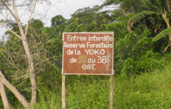 Welcome sign found at the location of the Yoko reserve